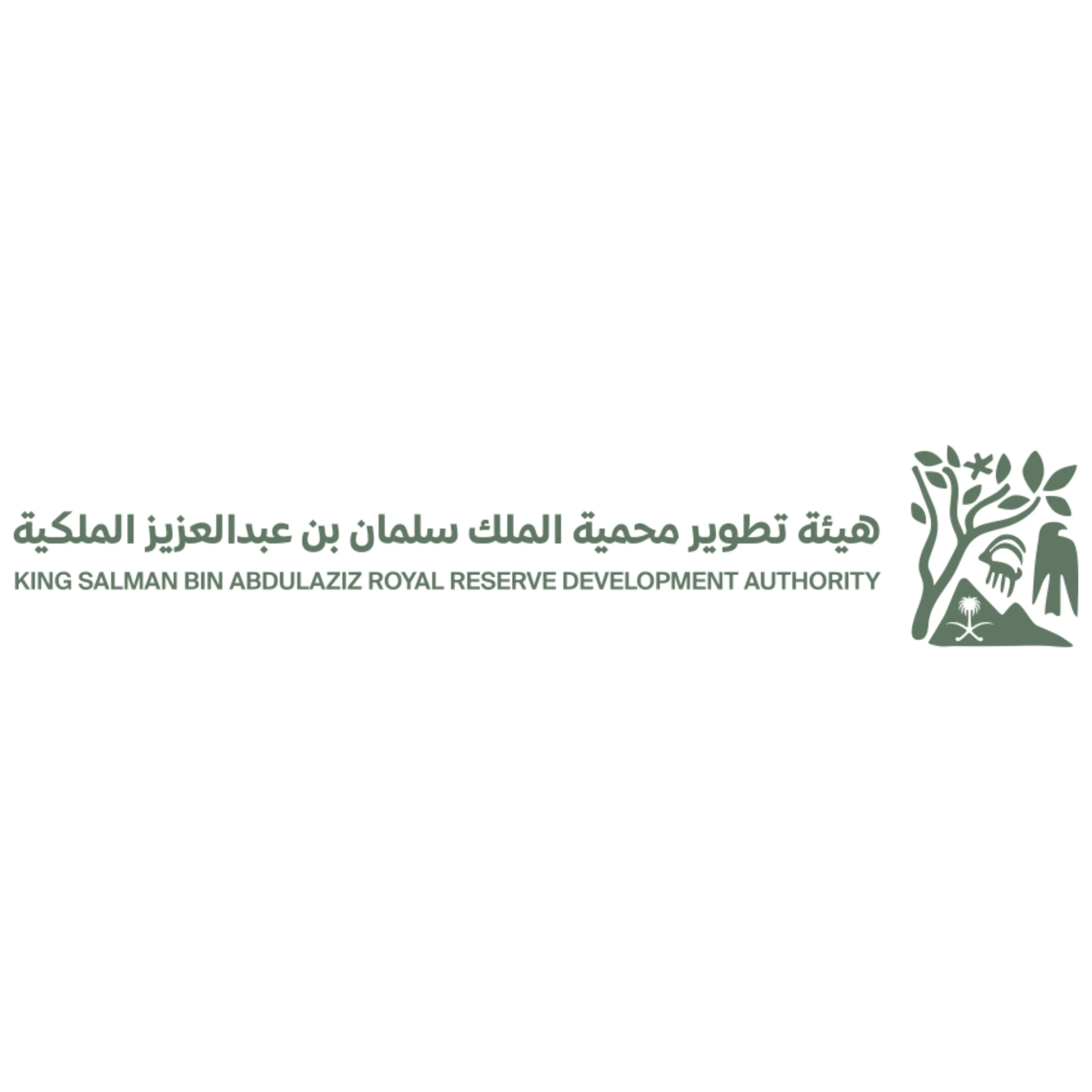 Logo 19